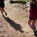 Participants run through Nichols Aboretum during the Ann Arbor Marathon on Sunday, June 9. Daniel Brenner I AnnArbor.com